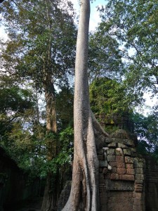 P1020336